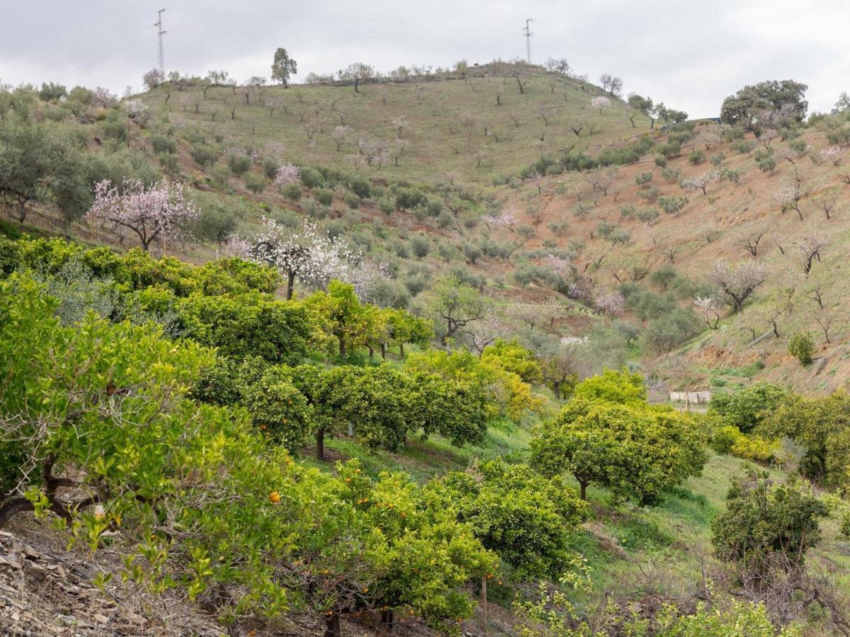 Alojamiento Rural Casa La Era Almogía 外观 照片