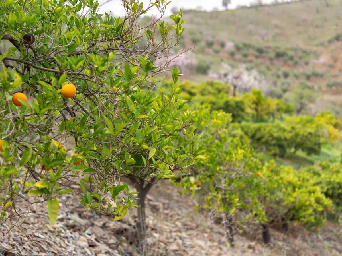 Alojamiento Rural Casa La Era Almogía 外观 照片